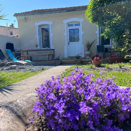 Charmante Maison Climatisee Avec Piscine Au Calme A Καρκασόν Εξωτερικό φωτογραφία